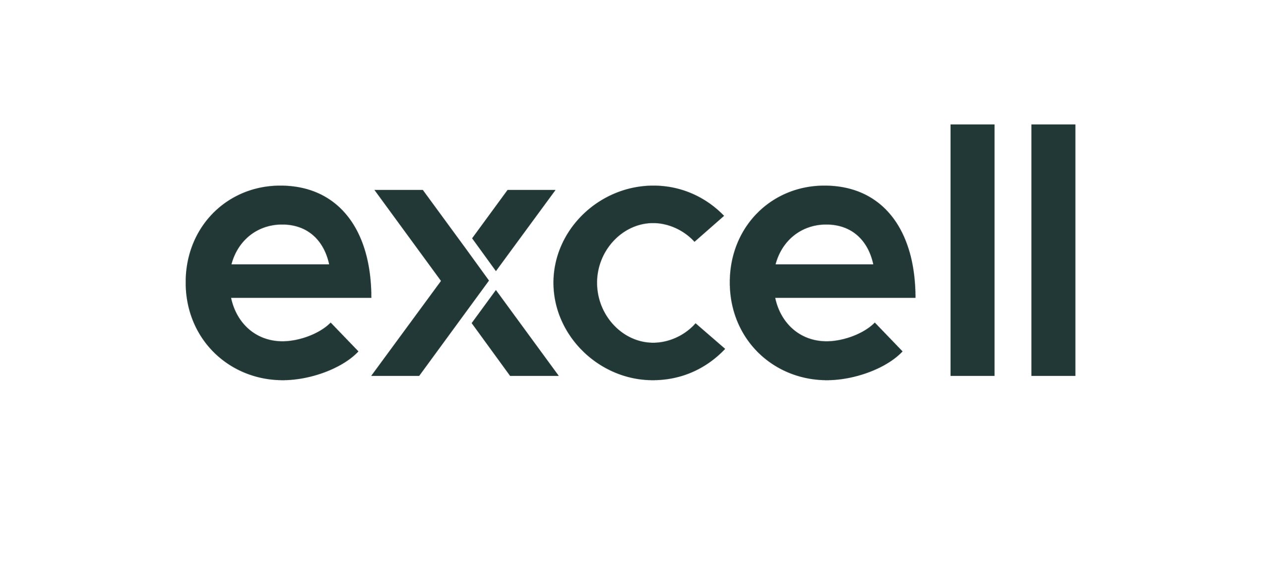 Logotipo Excell